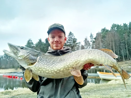 hyr fiskeguide i söderhamn Morviken.